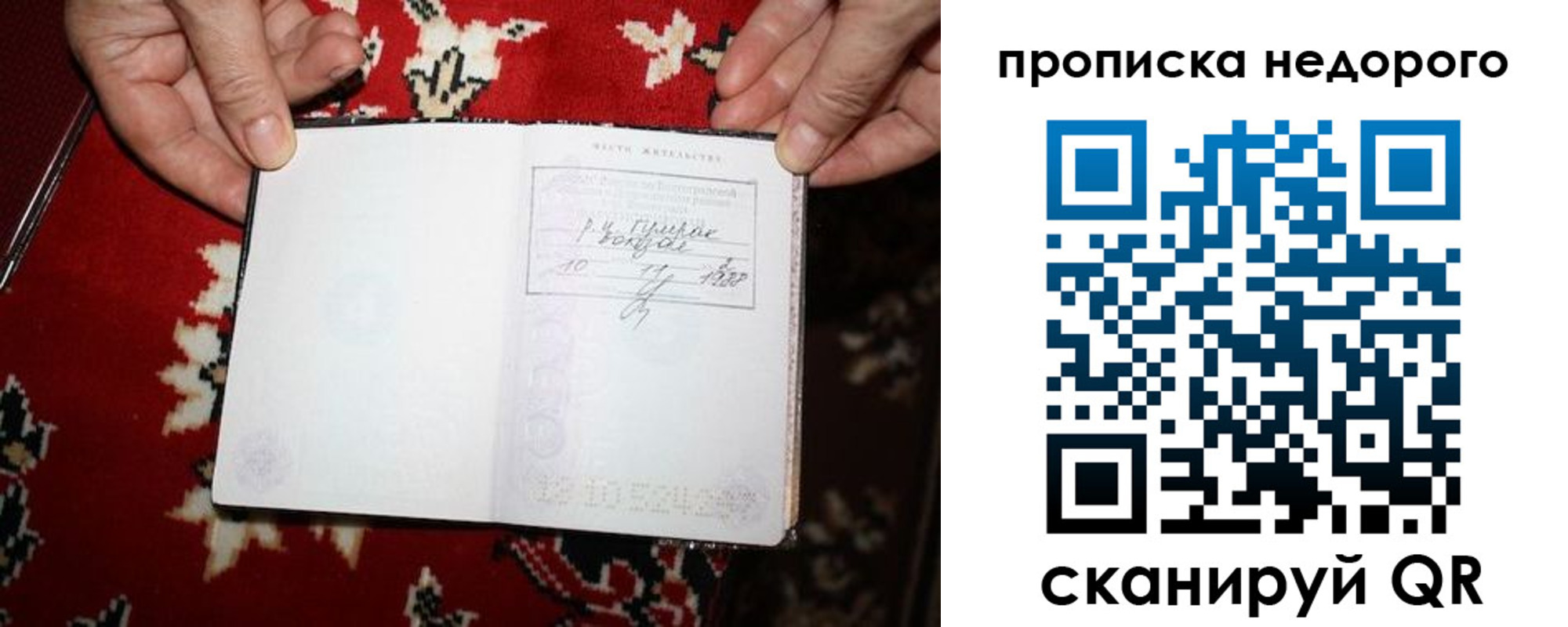 прописка гарантия в Великом Новгороде